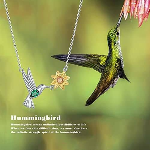 Hummingbird near flower with necklace illustration.